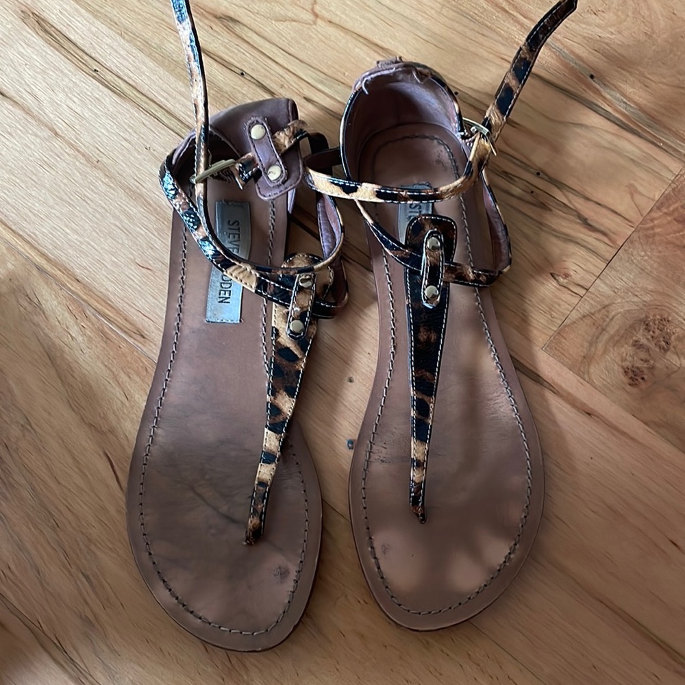 Steve Madden shoe